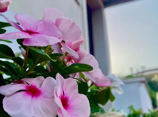 Casa Rachele דירה *